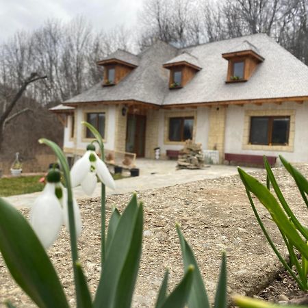 Casa Cu Sindrila Villa Vălenii de Munte Exterior photo