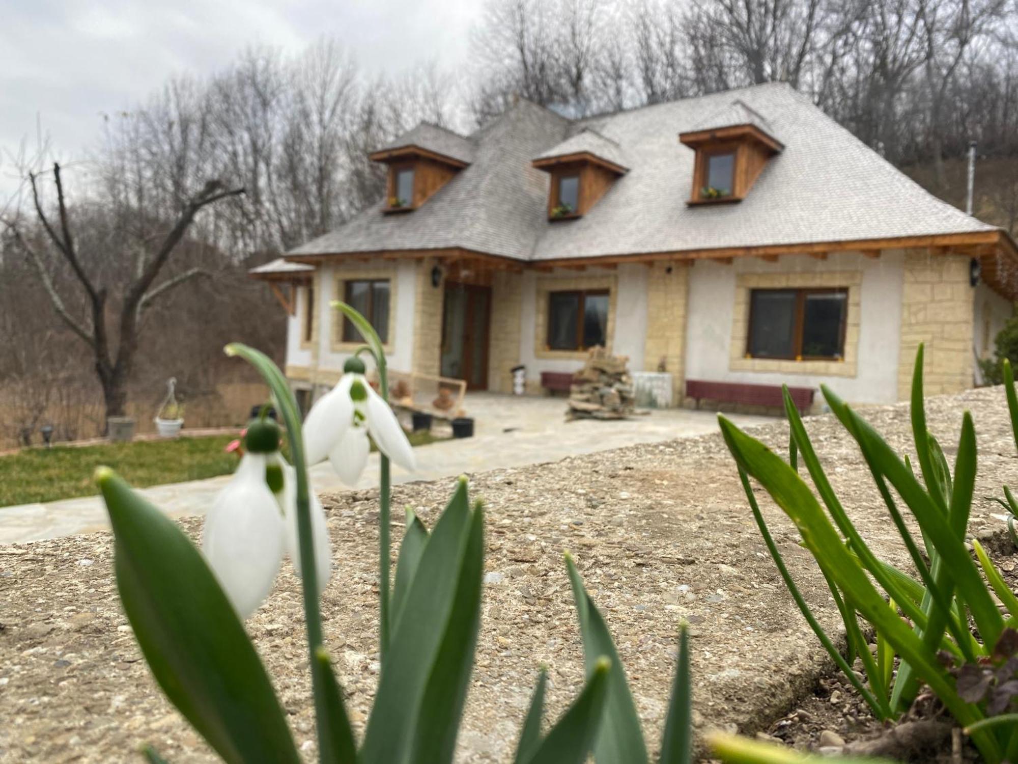 Casa Cu Sindrila Villa Vălenii de Munte Exterior photo