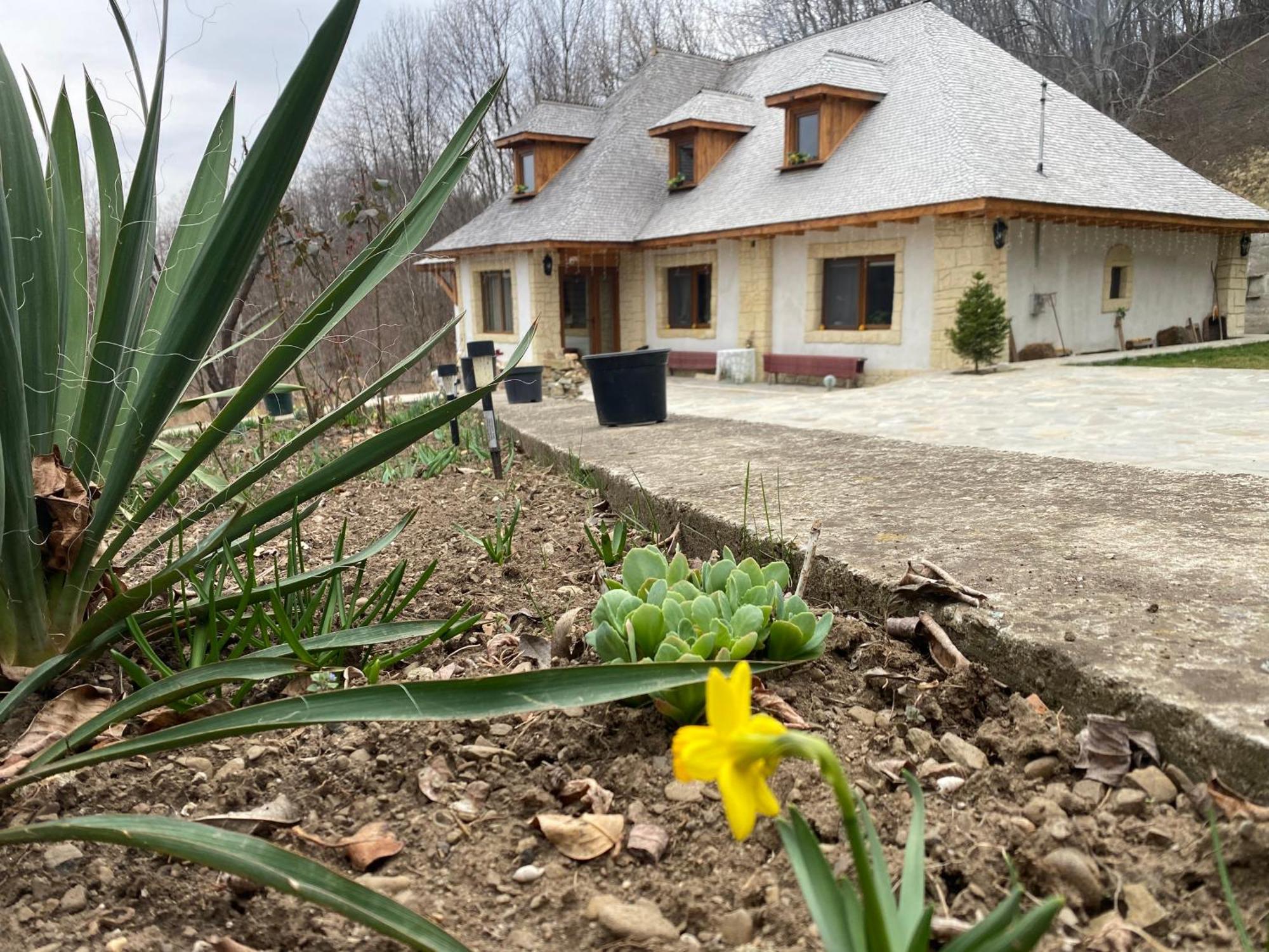 Casa Cu Sindrila Villa Vălenii de Munte Exterior photo
