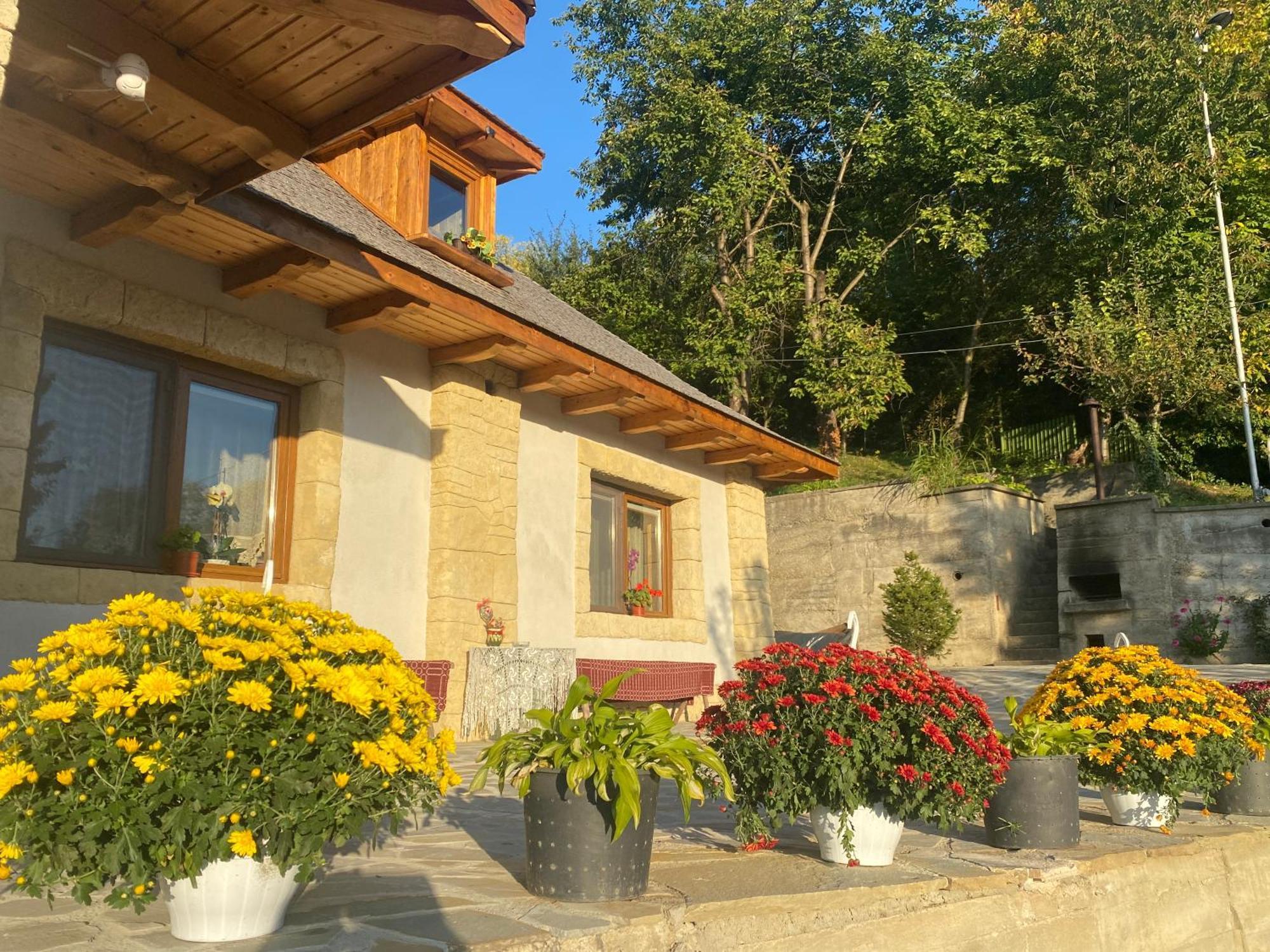 Casa Cu Sindrila Villa Vălenii de Munte Exterior photo